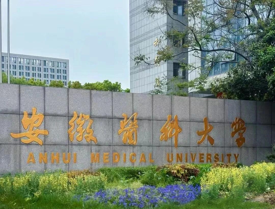 實(shí)力護(hù)航！熱烈祝賀我公司成功承接安徽醫(yī)科大學(xué)新醫(yī)科中心舞臺(tái)防火大幕項(xiàng)目